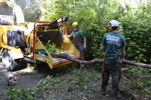 tree services Calumet City